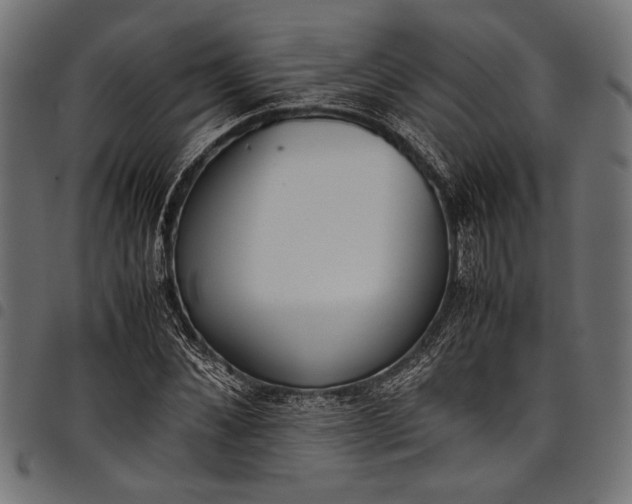 X0000097820876200803281119