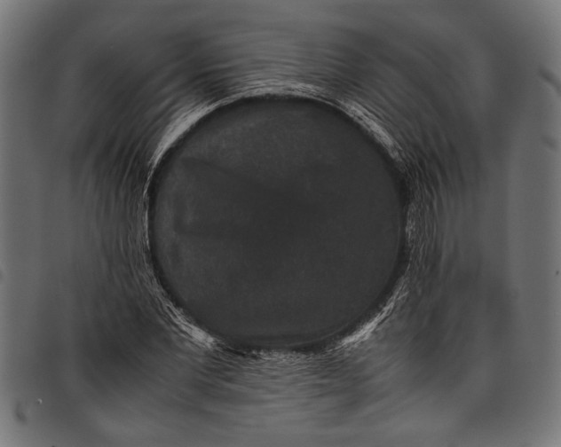 X0000097820877200803281119