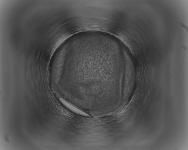 X0000097820879200803281119