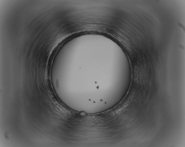 X0000097820880200803281119