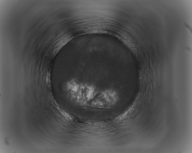 X0000097820881200803281119