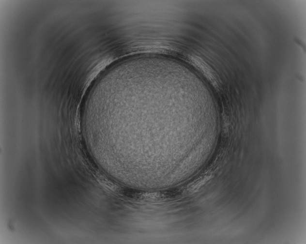 X0000097820883200803281119