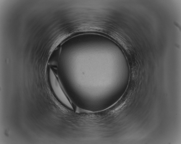 X0000097820885200803281119