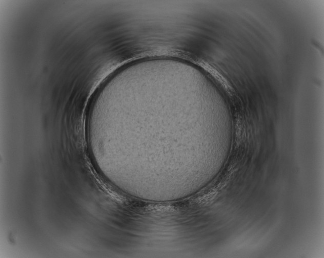 X0000097820886200803281119