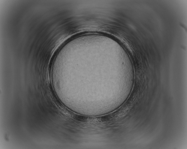 X0000097820887200803281119