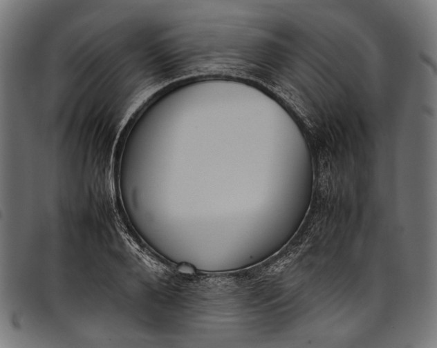 X0000097820888200803281119