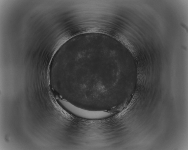 X0000097820892200803281118