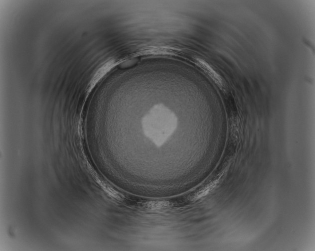 X0000097820893200803281118