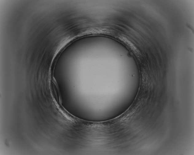 X0000097820894200803281118