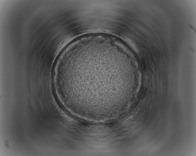 X0000097820895200803281118