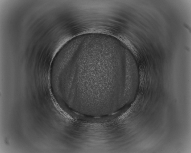 X0000097820896200803281118