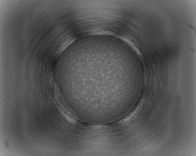 X0000097820897200803281118