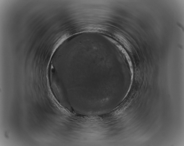 X0000097820899200803281118