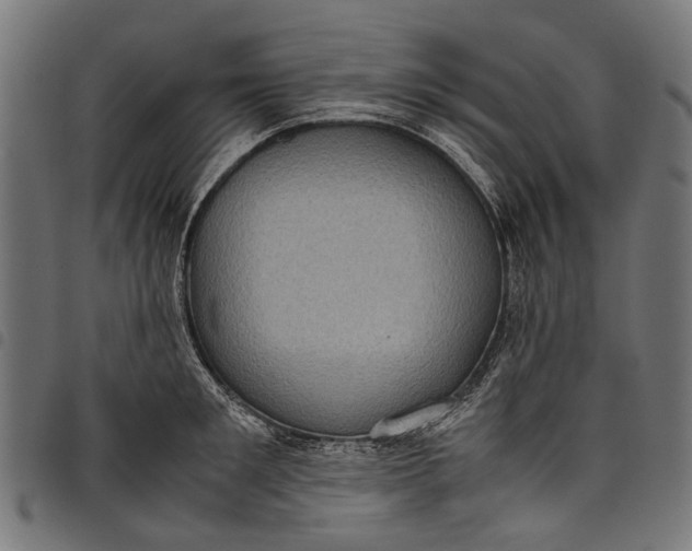 X0000097820901200803281118