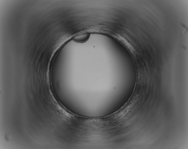 X0000097820902200803281118