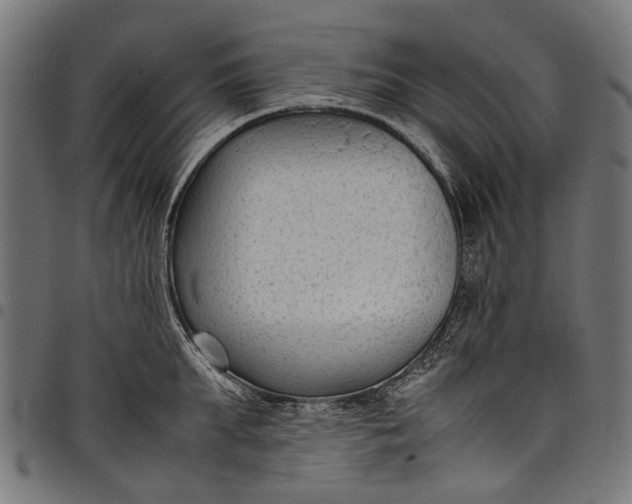 X0000097820903200803281118