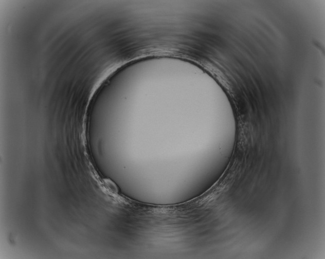 X0000097820904200803281118