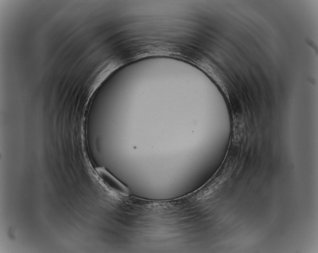 X0000097820906200803281118