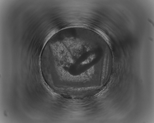 X0000097820907200803281118