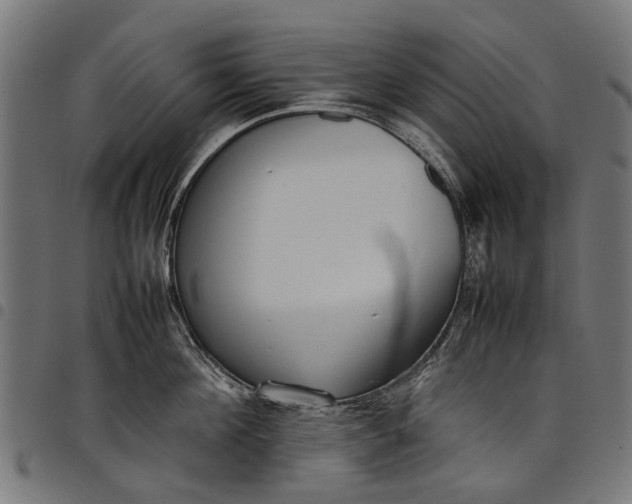 X0000097820908200803281118