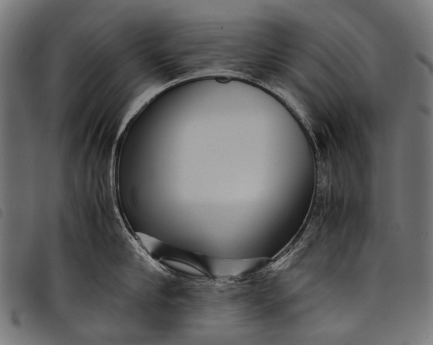 X0000097820910200803281118