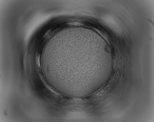 X0000097820911200803281118