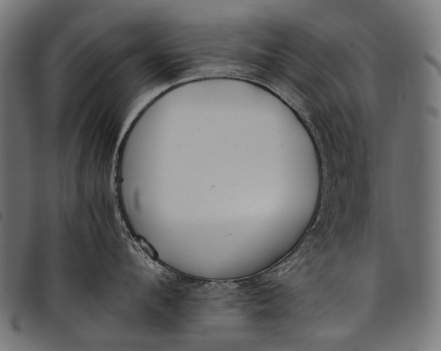 X0000097820912200803281118