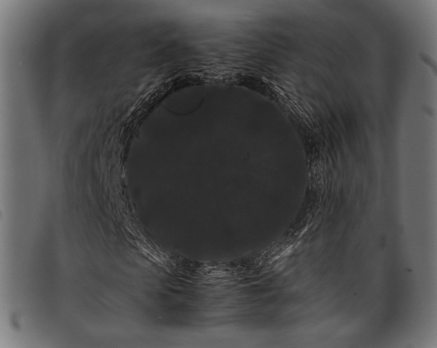 X0000097820913200803281118