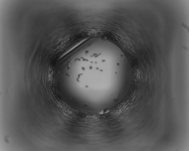 X0000097820914200803281118