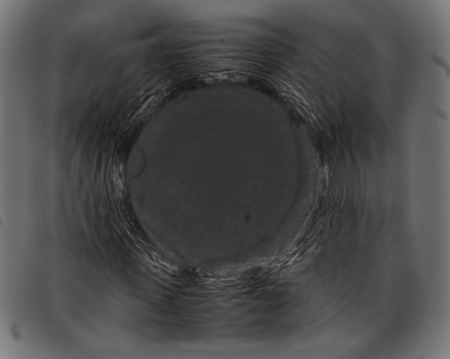 X0000097820915200803281118