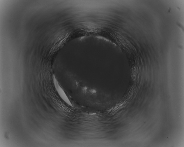 X0000097820916200803281118