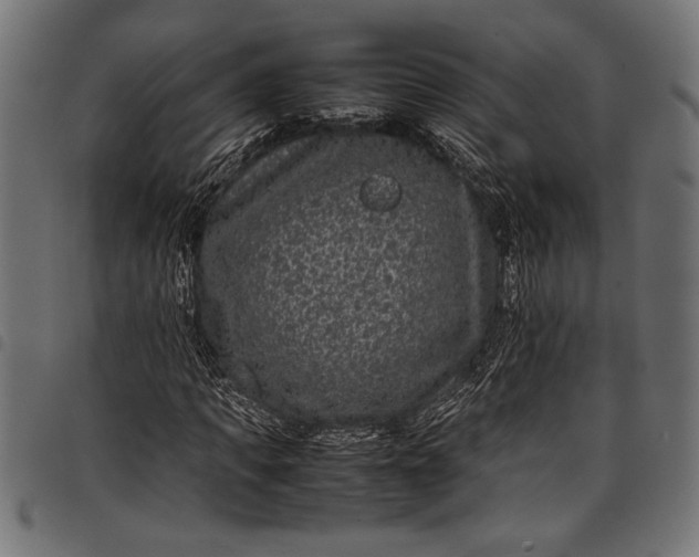 X0000097820917200803281118