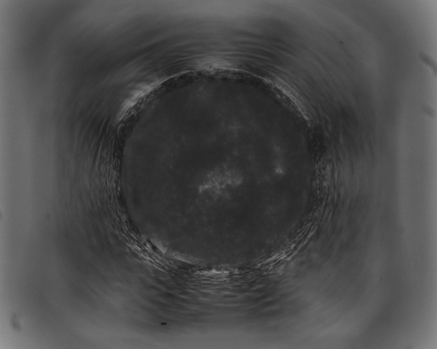 X0000097820919200803281118