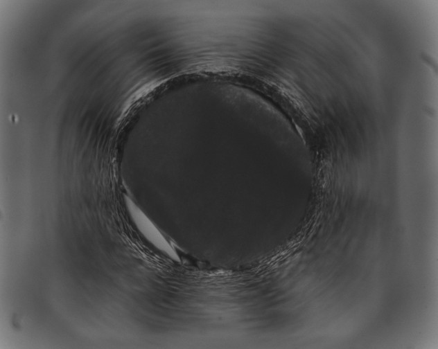 X0000097820920200803281118