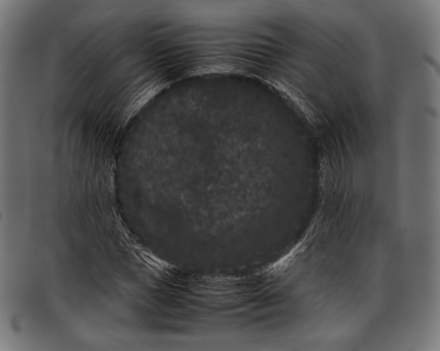 X0000097820921200803281118