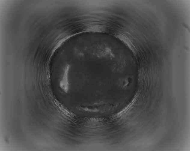 X0000097820923200803281118