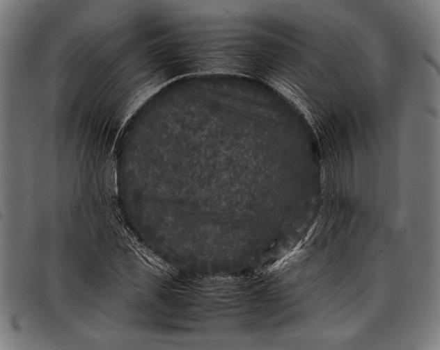 X0000097820925200803281118