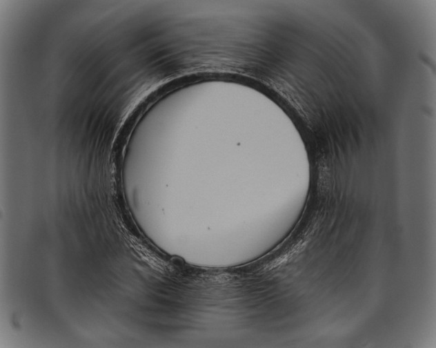 X0000097820926200803281118