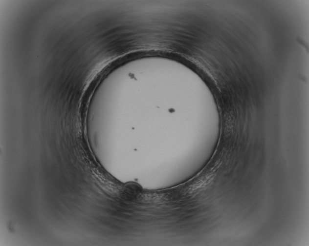 X0000097820927200803281118