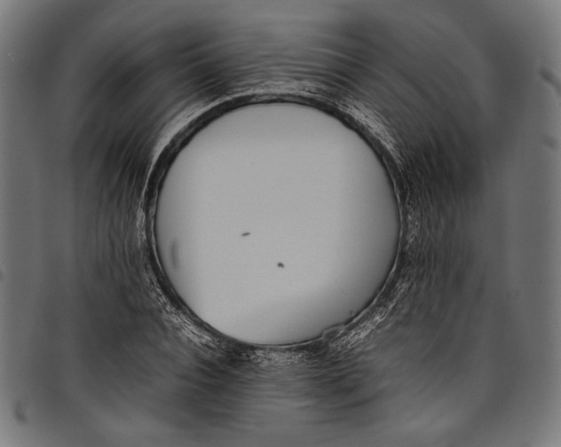 X0000097820928200803281118