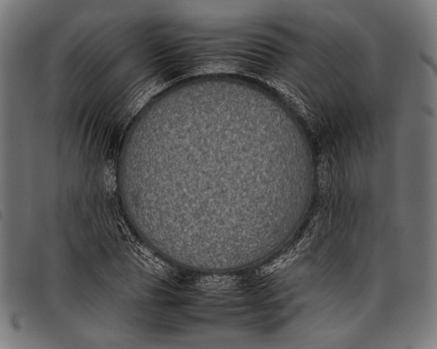 X0000097820929200803281118