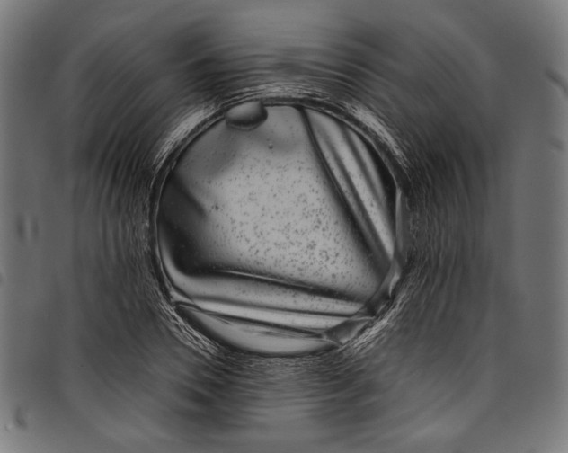 X0000097820930200803281118