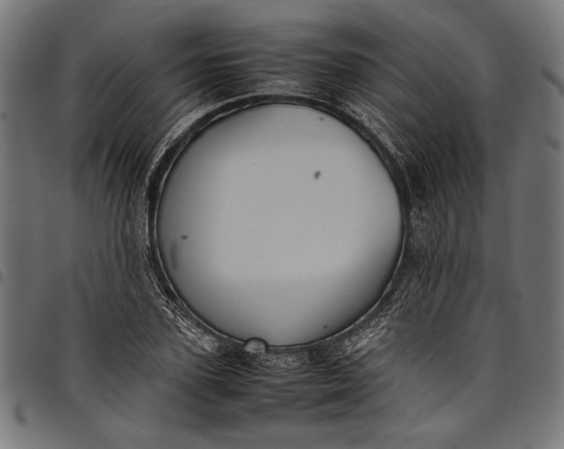 X0000097820931200803281118