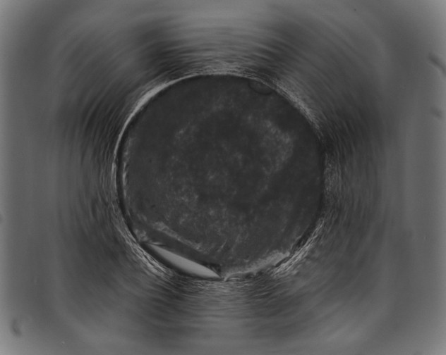 X0000097820932200803281118