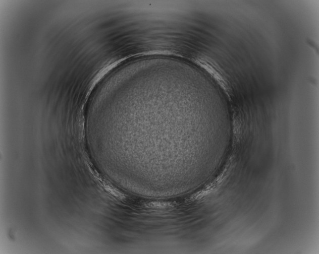 X0000097820933200803281118