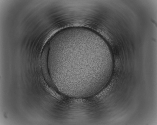 X0000097820934200803281118