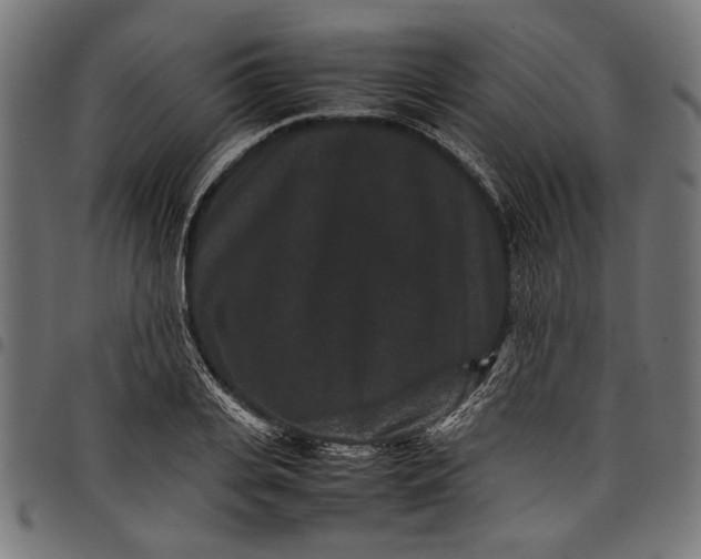 X0000097820935200803281118