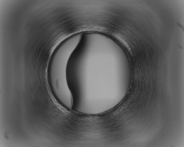 X0000097820936200803281118