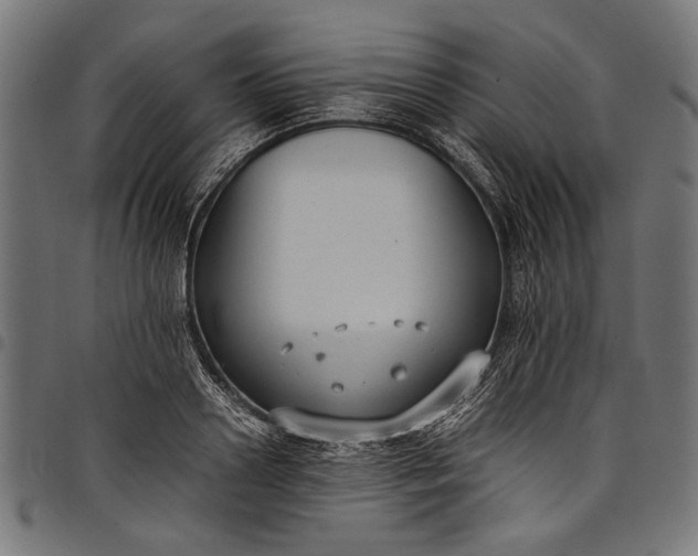 X0000097820938200803281118