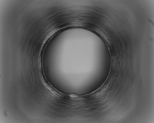 X0000097820939200803281118